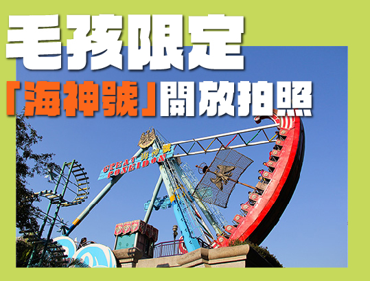 摩天輪雙輪煙火