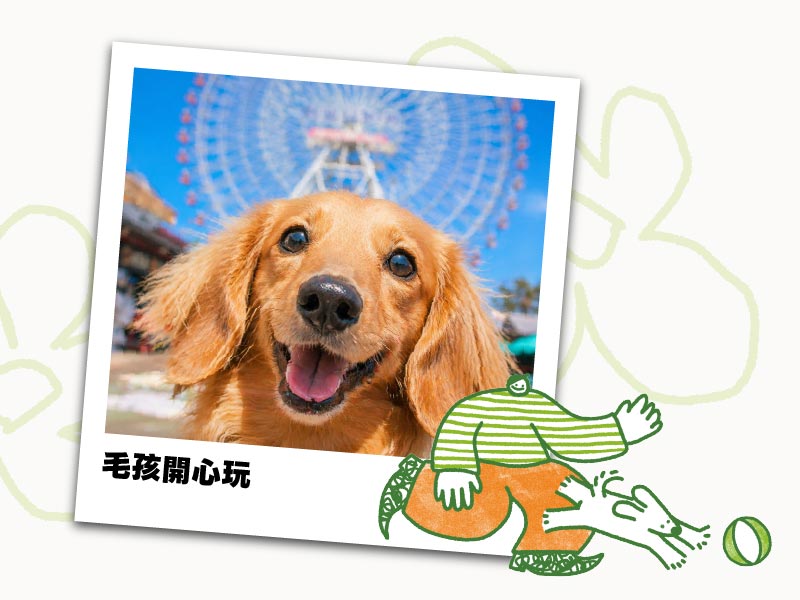狗狗照